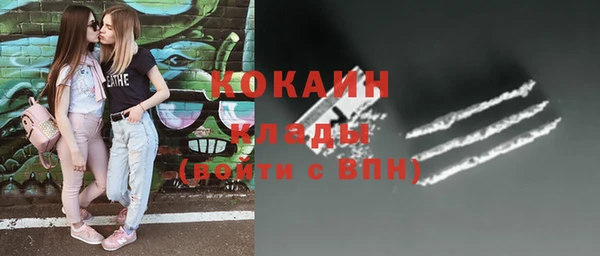 гашик Аркадак