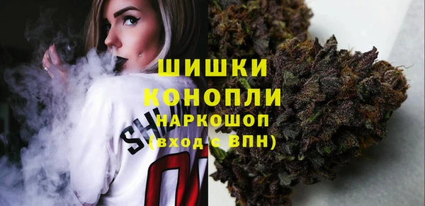 эйфоретик Арсеньев