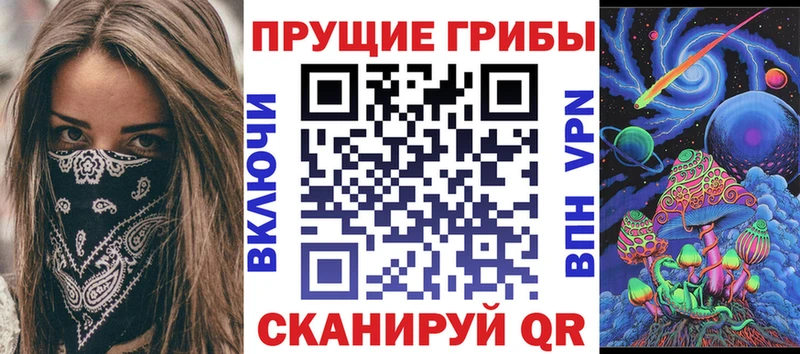 Галлюциногенные грибы Psilocybine cubensis  купить  сайты  ссылка на мегу сайт  Саров 